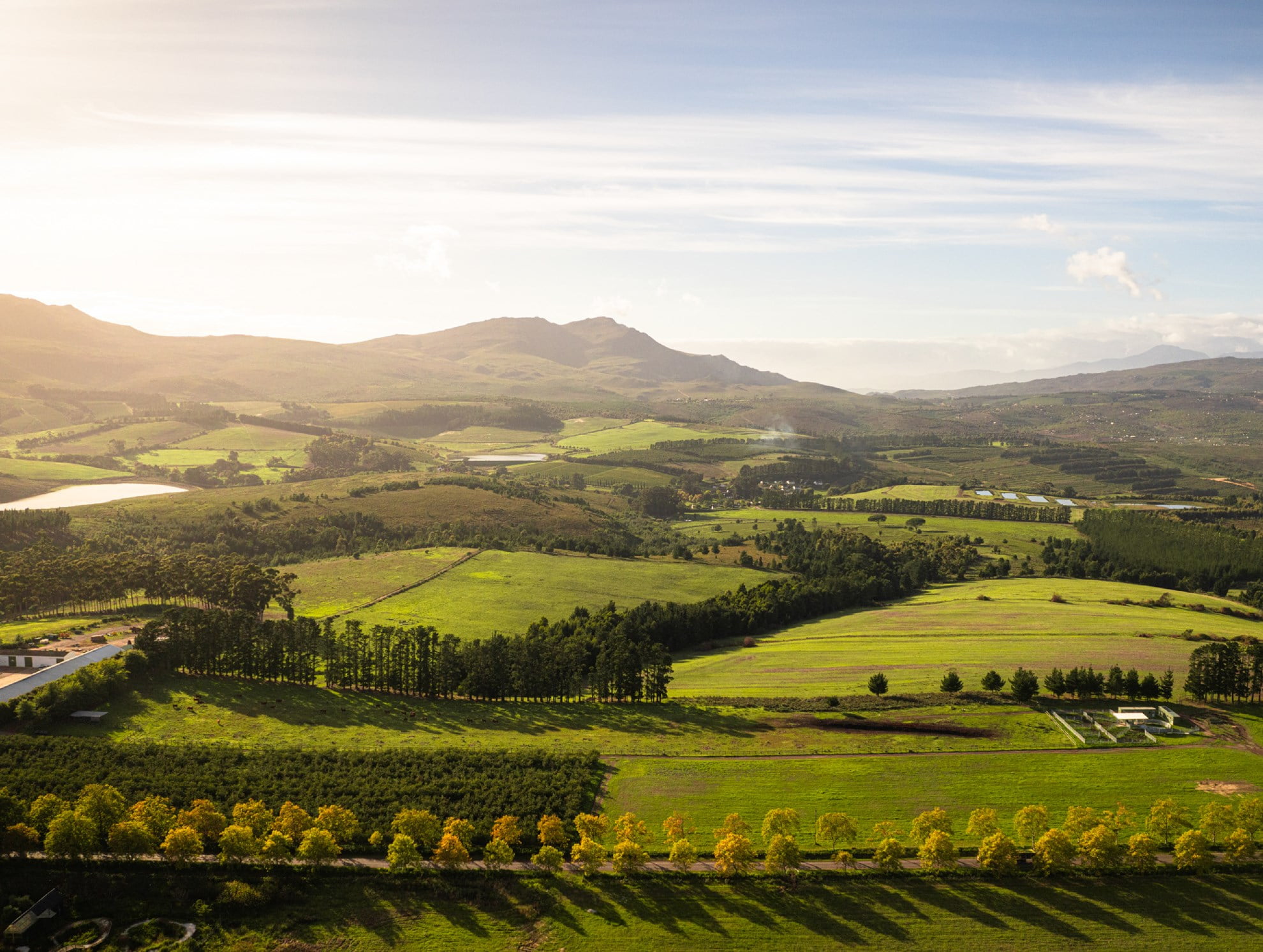 Vineyards and mountains in South African wine country