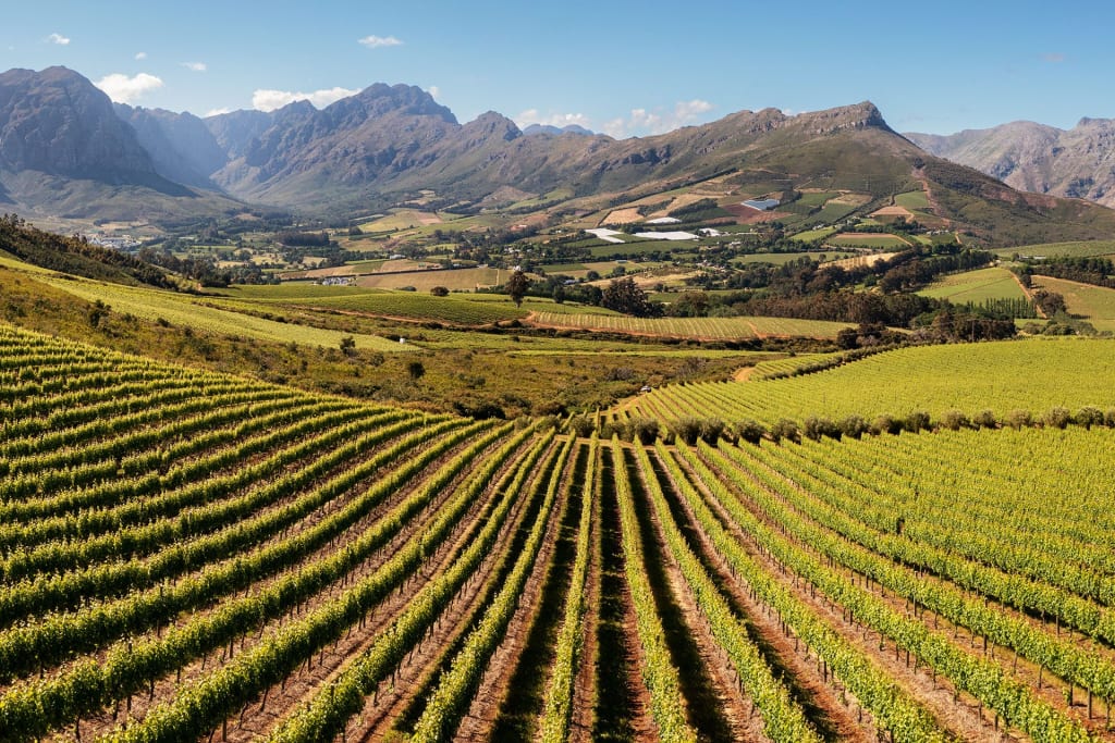 Stellenbosch landscape